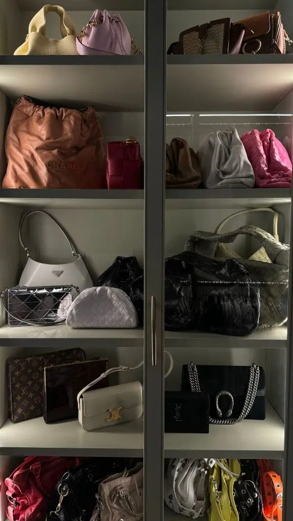 Wardrobe shelves with warm lighting highlighting designer handbags and clutches.