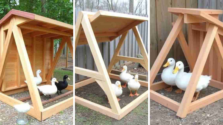 21 DIY Duck Enclosure Ideas