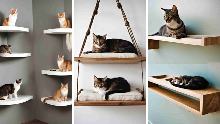 19 DIY Cat Shelves Ideas – Elevate Your Feline’s Comfort and Your Home Decor