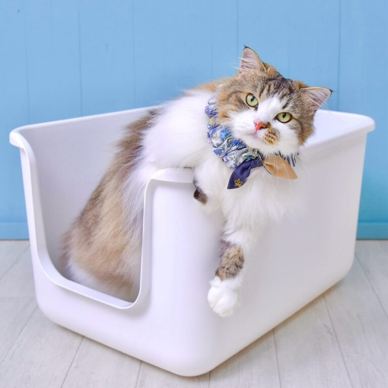 27 DIY Cat Litter Box Ideas: Creative and Practical Solutions for Your Home