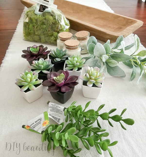 succulent centerpiece 1