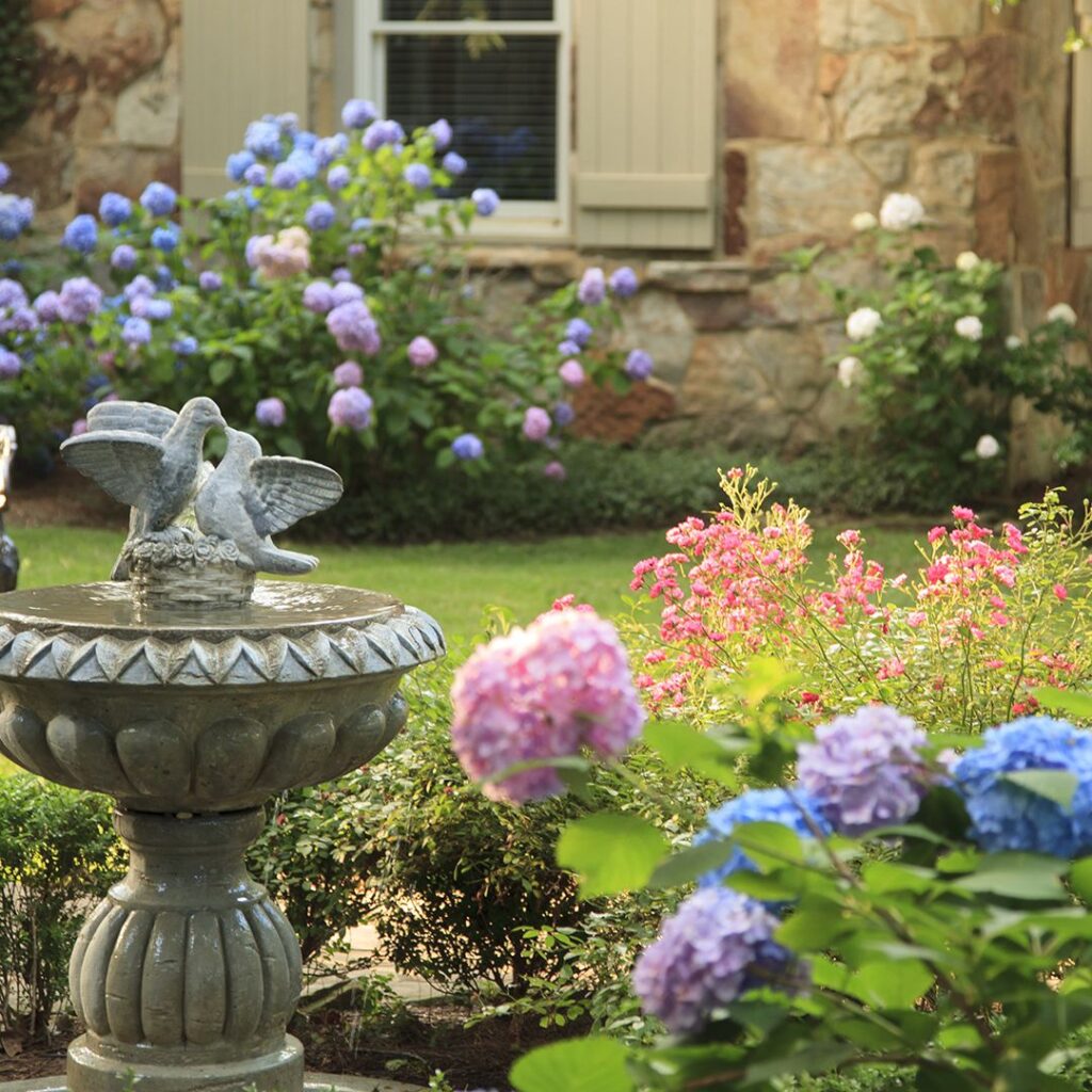 hydrangeas surrounding a bird bath