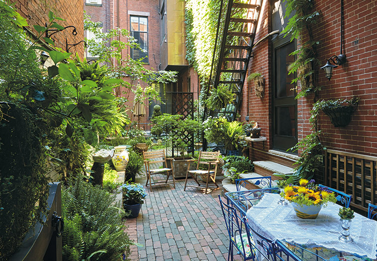 urban garden oasis small space garden