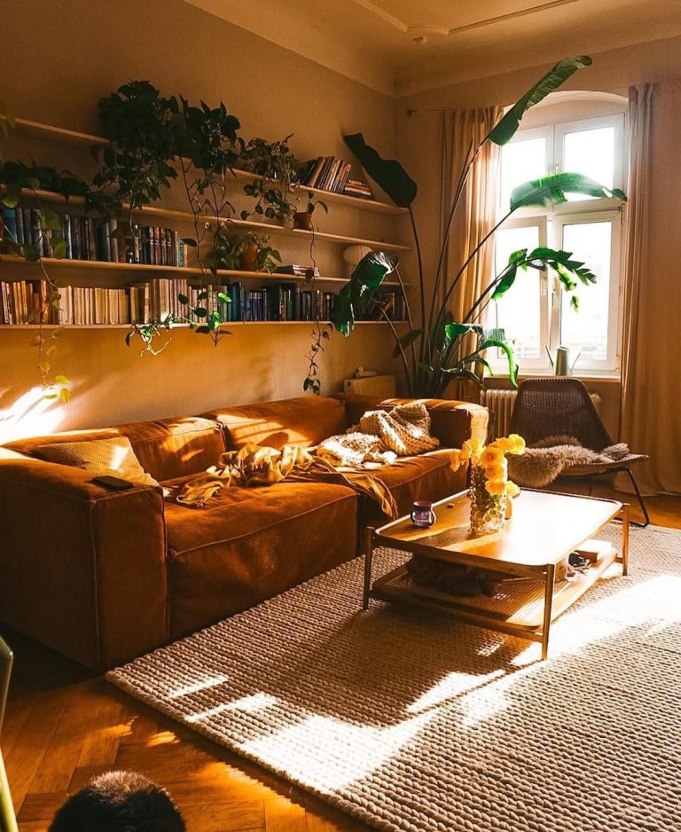 15 Cozy Apartment Inspo Ideas to Transform Your Space