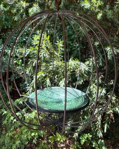 Lisasgardenlisaandlisa 1736575835 3542977359878406064 204289336 240x300