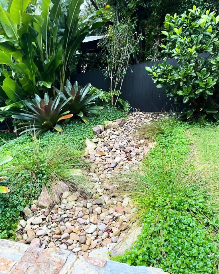 The Landscaping Trick That Fixed My Yard Drainage (17 Swale Ideas)