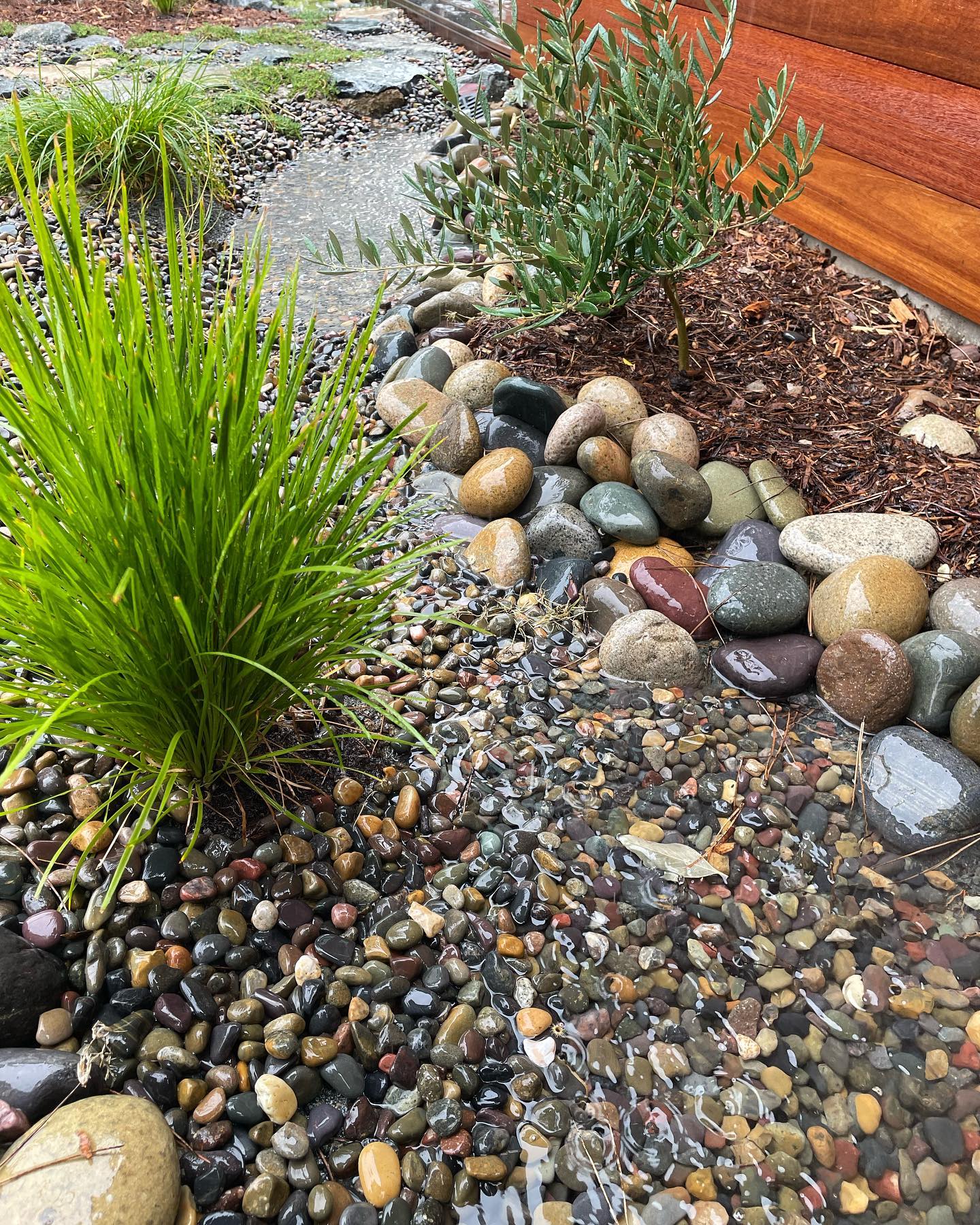 Landscape Swails Examples 17 Swale Landscaping Ideas to Transform Your Outdoor Space