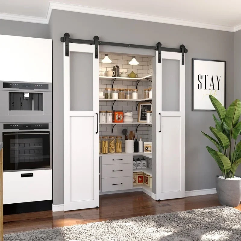 wayfair pantry with barn doors
