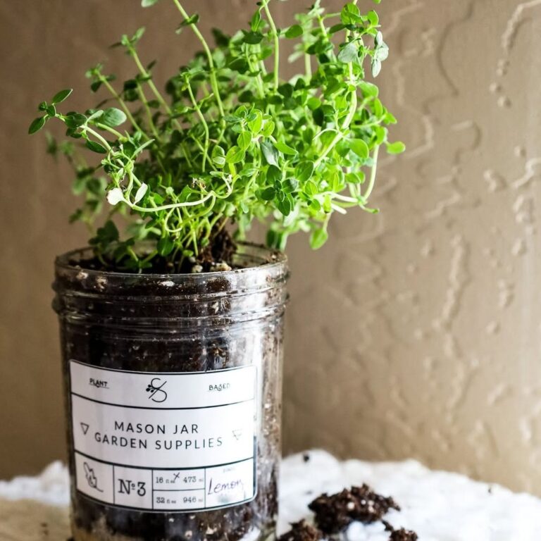 I Finally Tried Indoor Herb Garden Ideas That Make Any Kitchen Feel Fresh