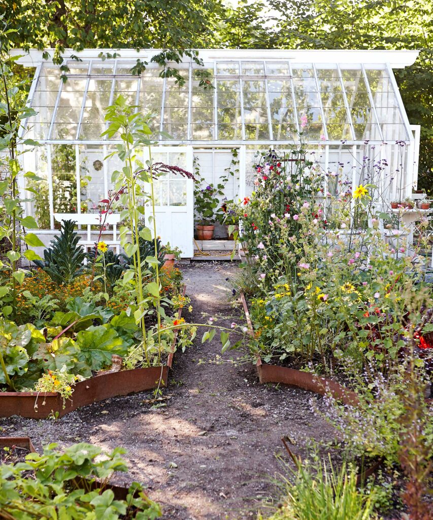 15 Small Back Garden Ideas to Transform Your Outdoor Space vegetable patch and greenhouse