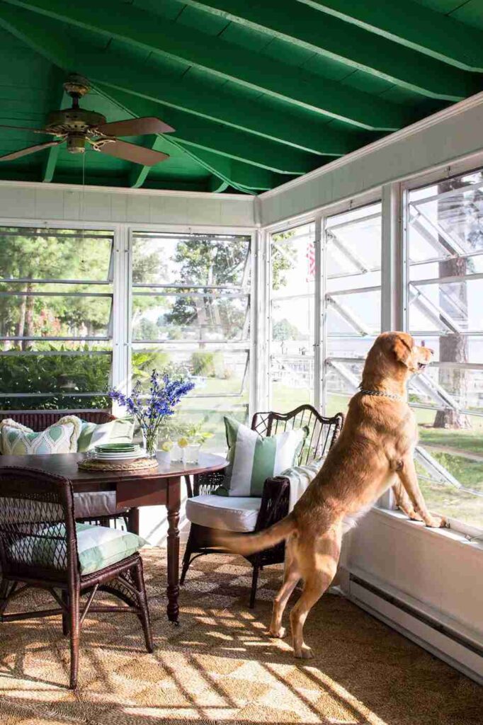 2436301 potom00057 2000 ec04c18ec2134914a32e7c69c5f6820f 11zon