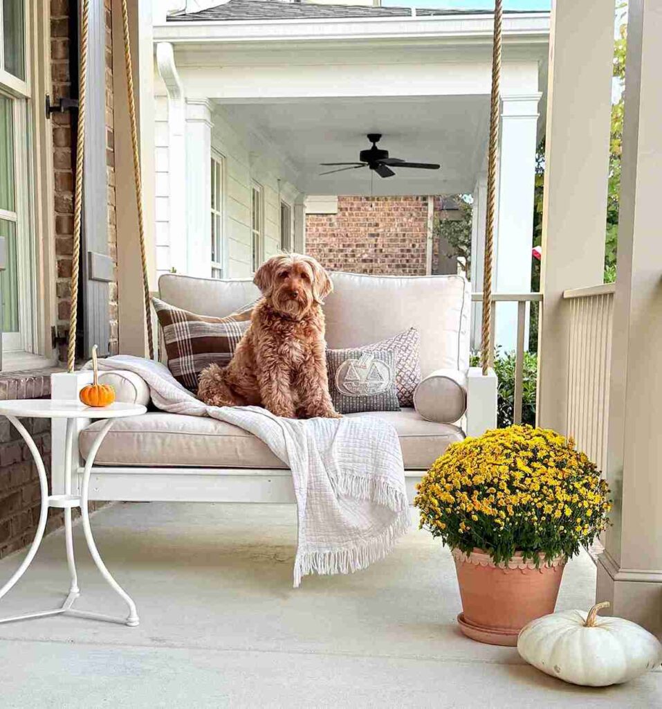 29 Charming Front Porch Swing Ideas for Relaxing Outdoors porchswingcompany 1761417964 3751367952617909739 16912078300 11zon