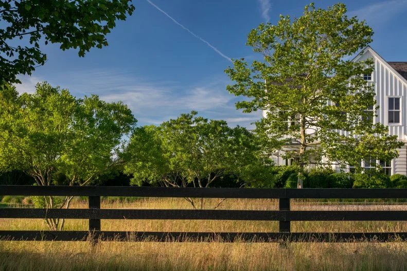 Rustic reclaimed wood plank backyard fence