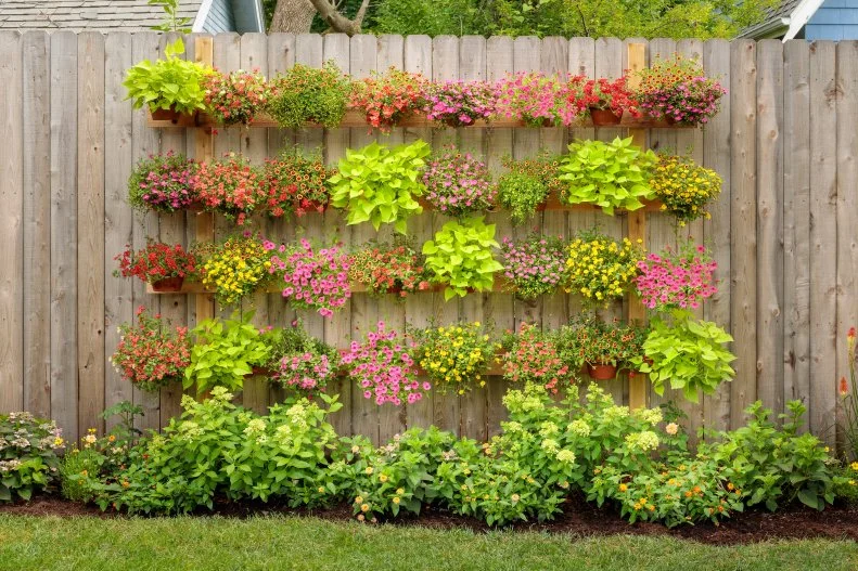 Vertical garden pallet fence transformation