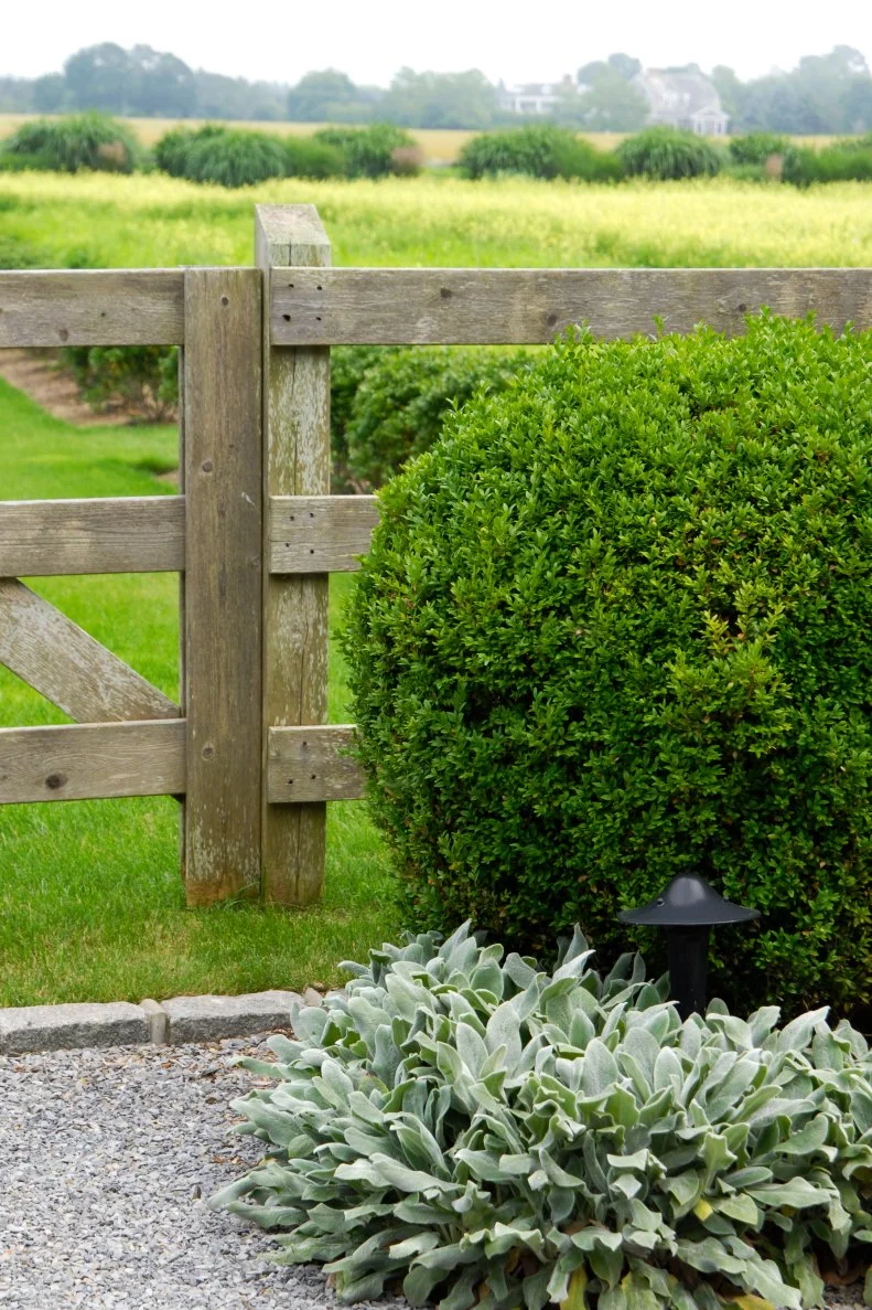 Recycled window frame privacy screen fence idea