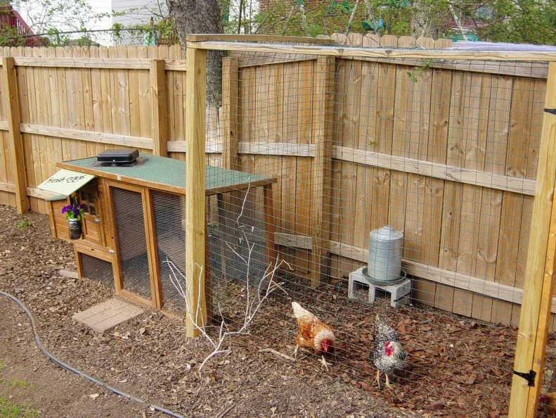 Vertical herb garden privacy wall fence