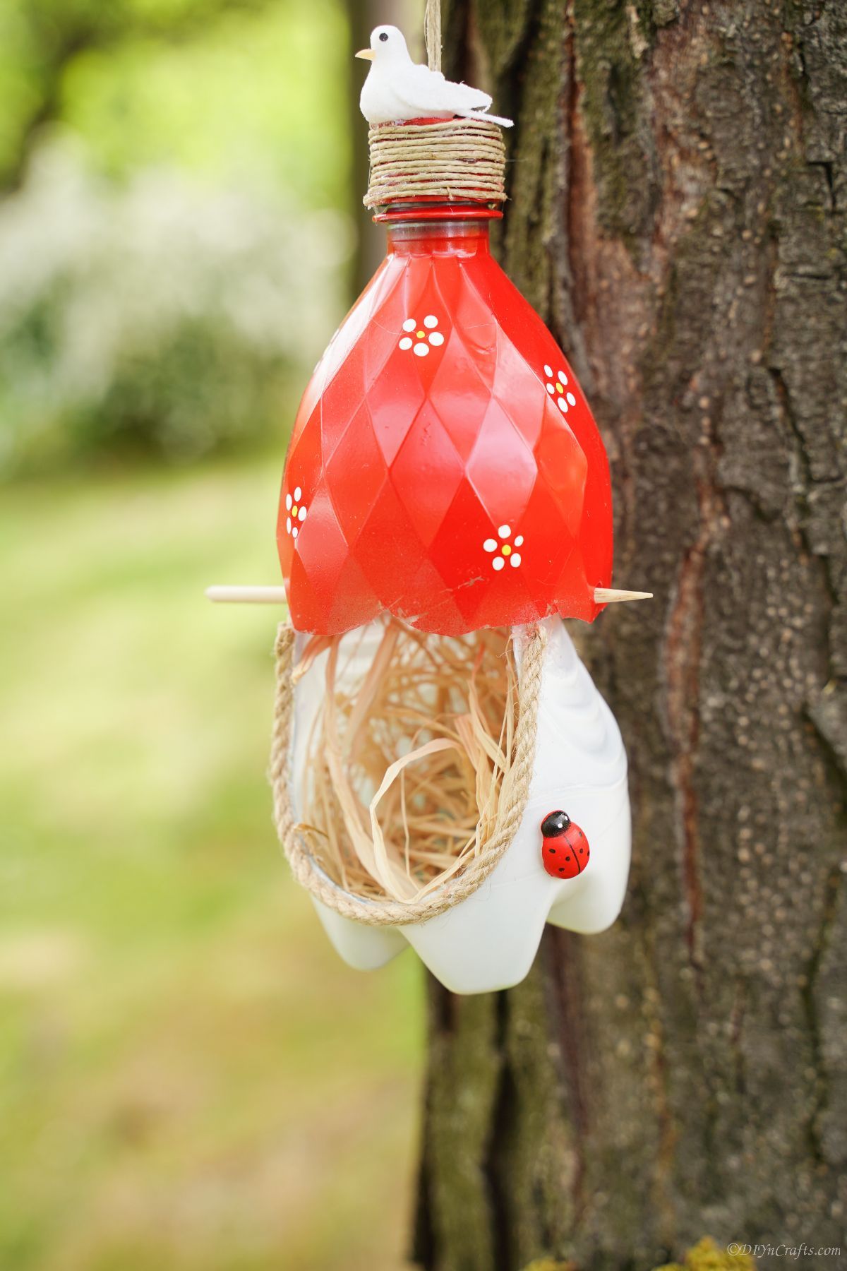The Fairy Tale Toadstool Retreat DIY bird house design made from a soda bottle with a red cap and white polka dots.