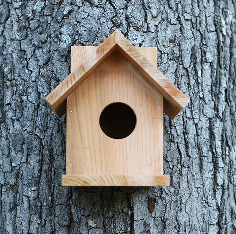The Humble Pine Classic raw pine A frame birdhouse mounted on a tree trunk.