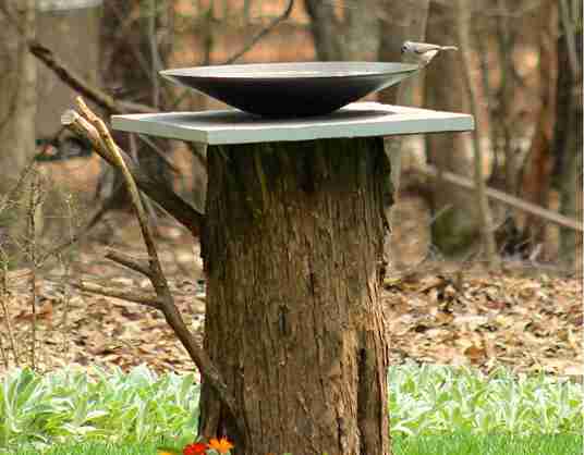 I Discovered DIY Birdbath Ideas That Birds Actually Love