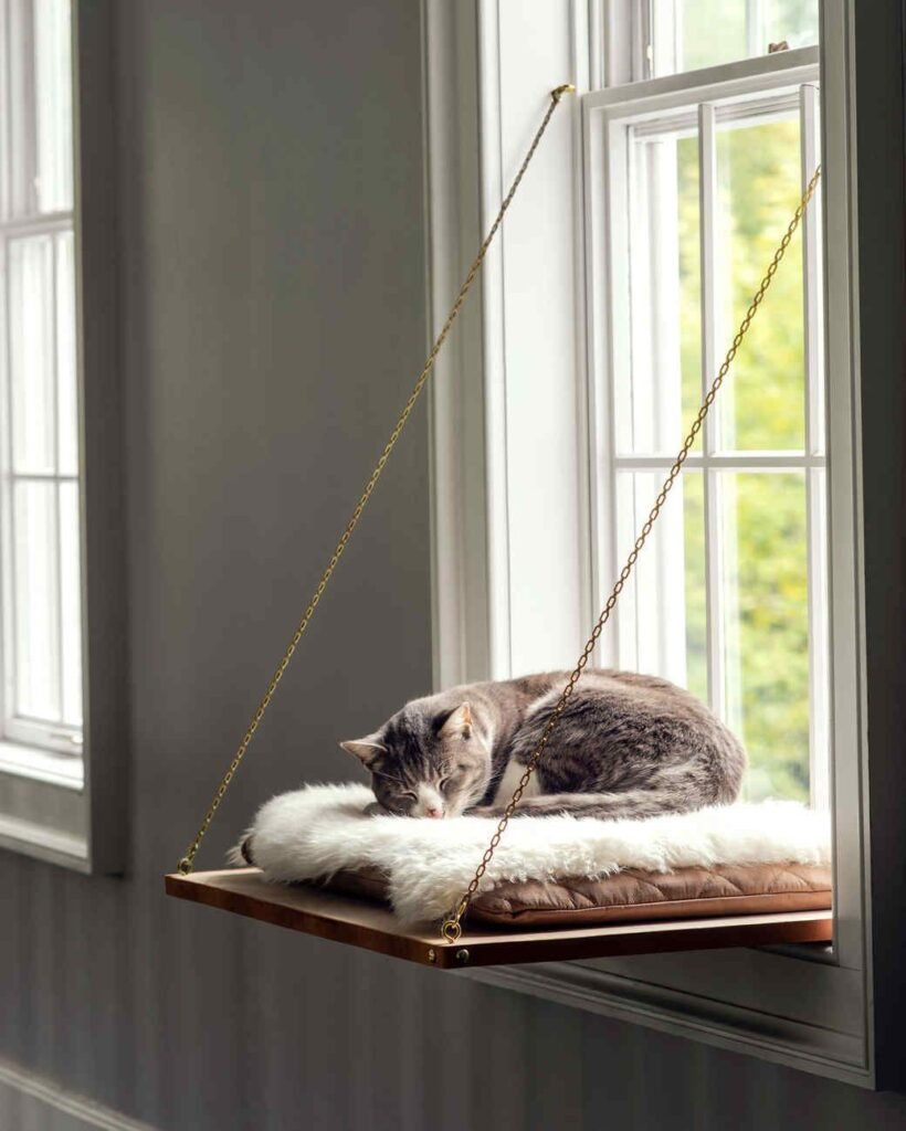 Floating window cloud perch cat hammock