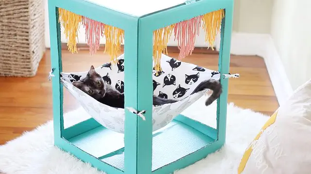 Teal tassel modern box cat hammock