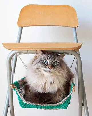 Chair suspended crochet pod cat hammock