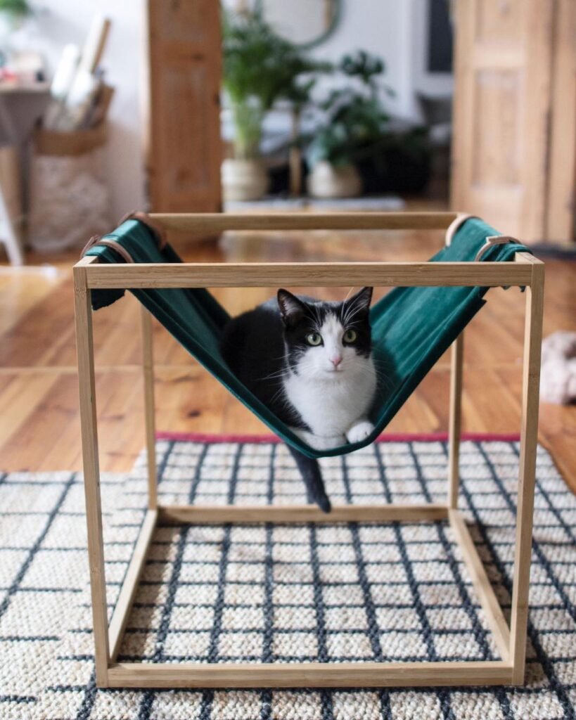 Minimalist green velvet box cat hammock