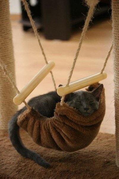 Modern plywood geometric nest cat hammock