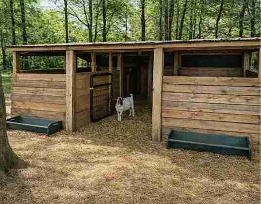 19 DIY Goat Shelters That Actually Protect Your Animals Year-Round