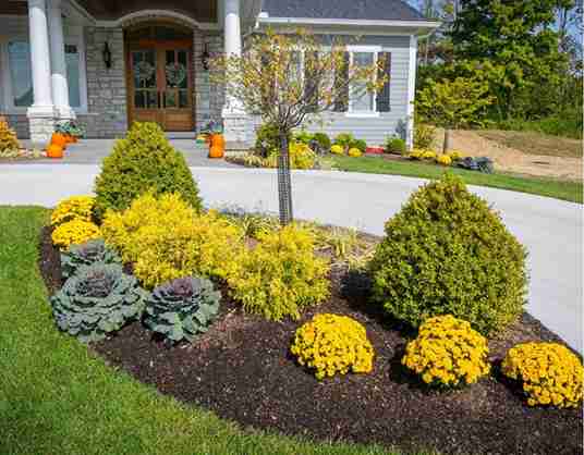 23+ Driveway Entrance Landscaping Ideas That Make a Stunning First Impression