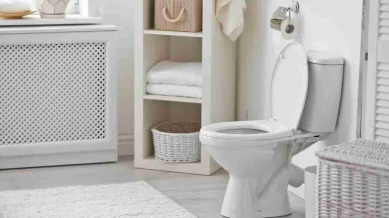 How Much Does Lowe’s Charge to Install a Toilet? Complete Price Breakdown