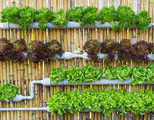 How to Start a DIY Hydroponic System at Home (23 Smart Setups)