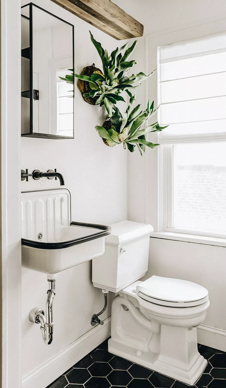 Powder room with a white wall-mounted trough sink with black rim, dark hex floor tiles, black wall faucet, exposed plumbing, and plants.