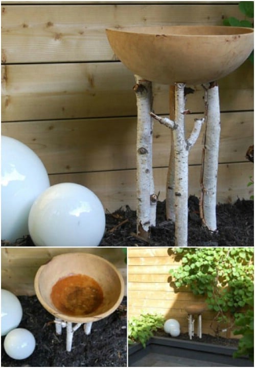 Natural birch and wooden bowl basin DIY birdbath