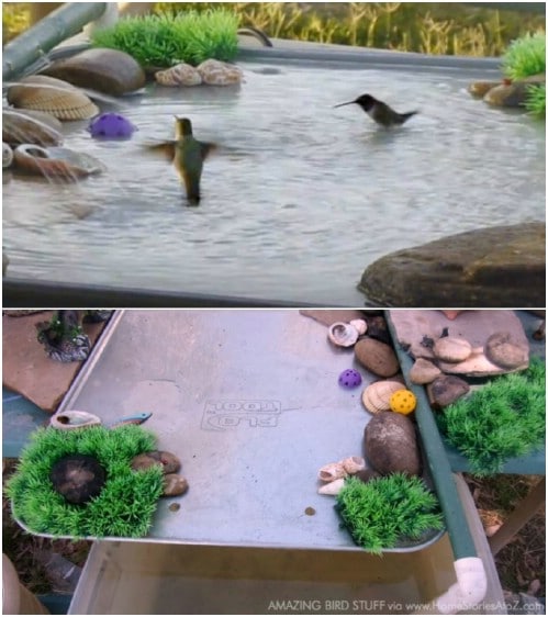 Hummingbird fountain with river rocks DIY birdbath