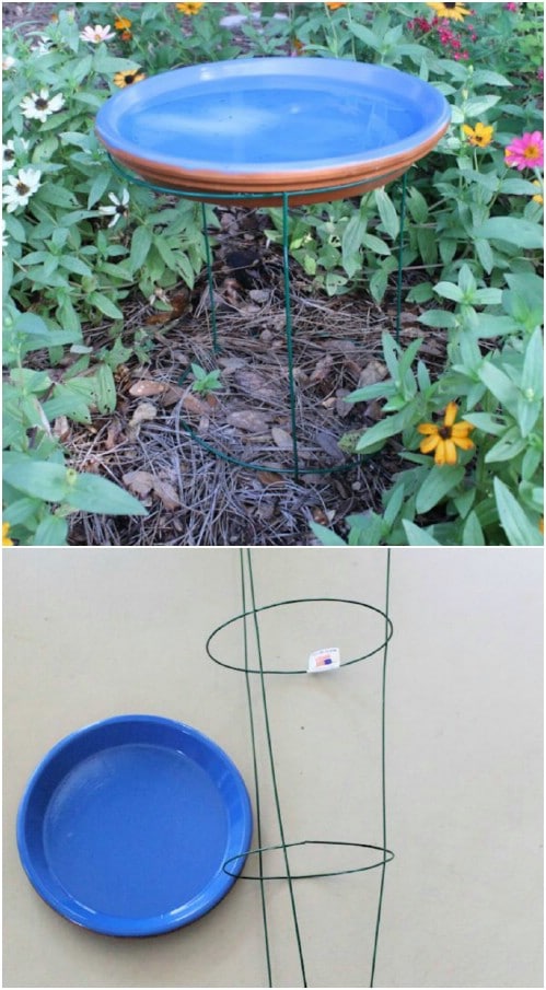 Modern tomato cage pedestal DIY birdbath