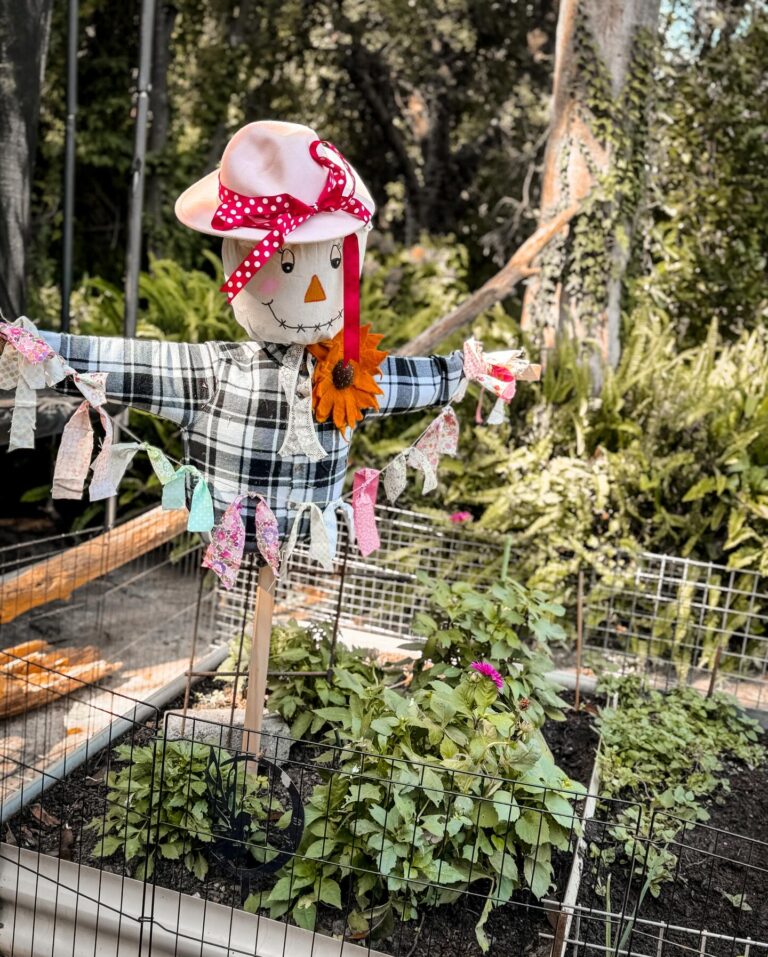 27 DIY Scarecrow for Garden Ideas