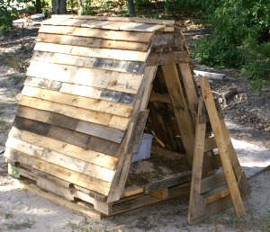 Small A frame goat shelter made by leaning pallets together under shade
