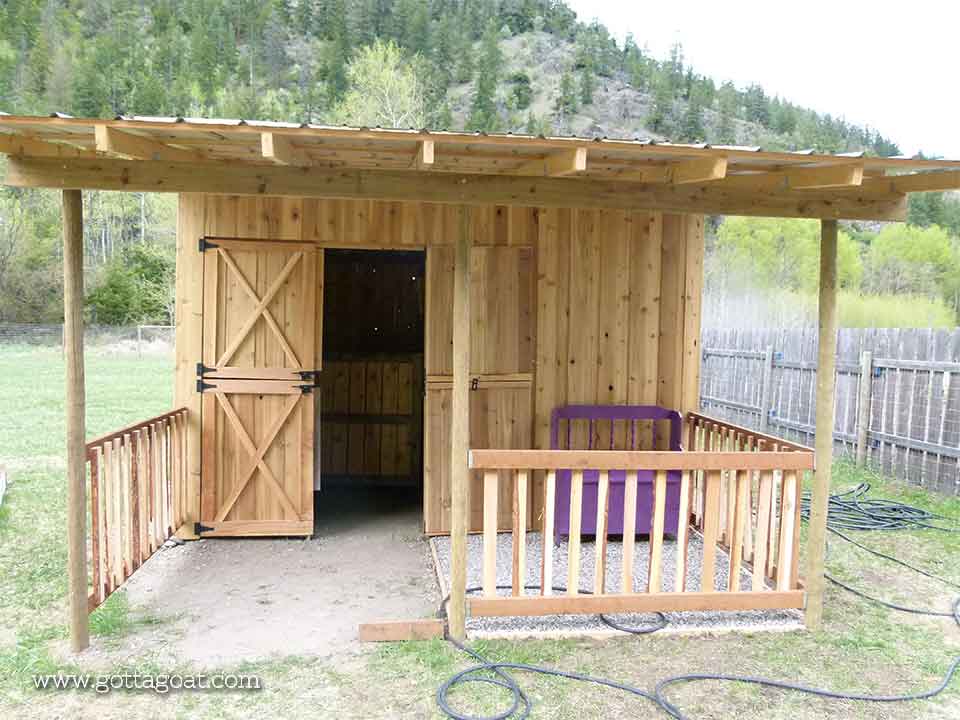 Timber goat shelter with tall ceiling and wide doors next to a purple bench