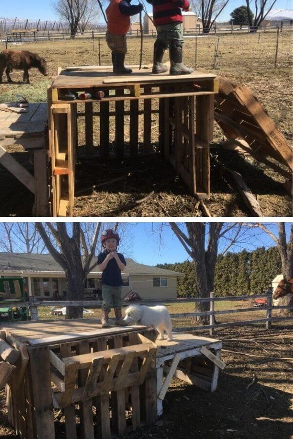 Multi level pallet goat shelter with platforms for climbing and shaded areas for resting