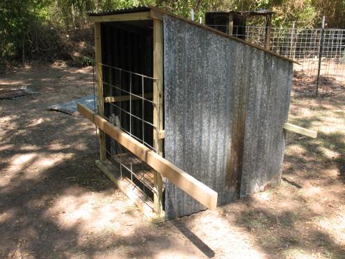 Wood framed goat shelter with corrugated metal siding built for harsh weather
