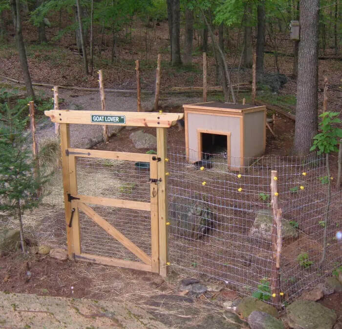 Small cottage style goat shelter inside a gated enclosure in a wooded setting