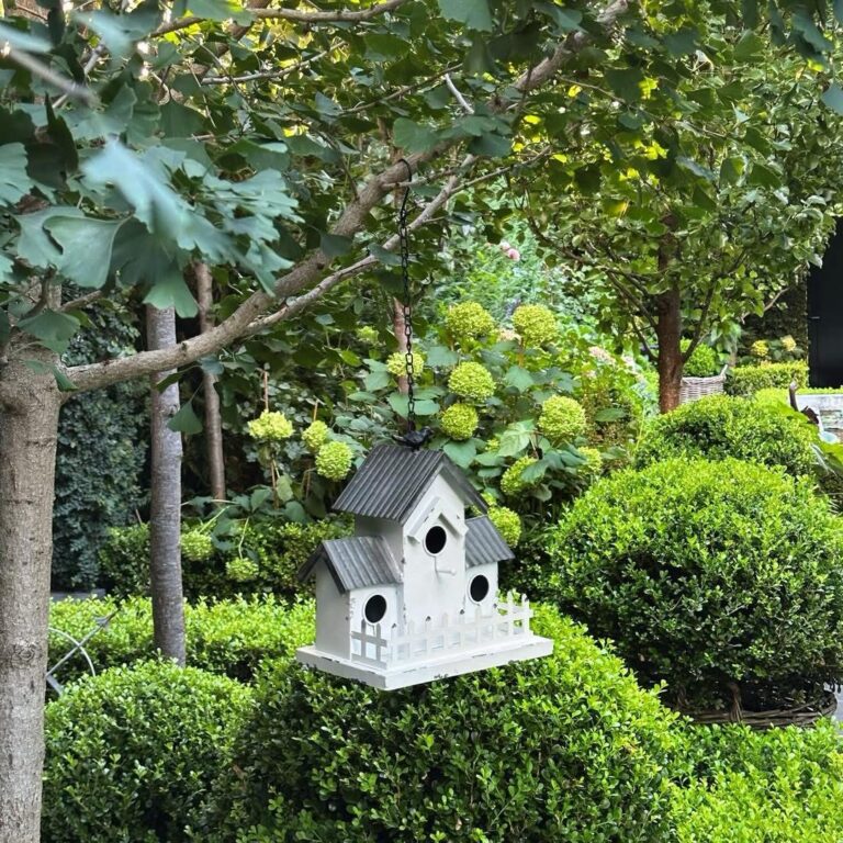 DIY Bird House Ideas That Turn Your Garden Into a Bird Haven