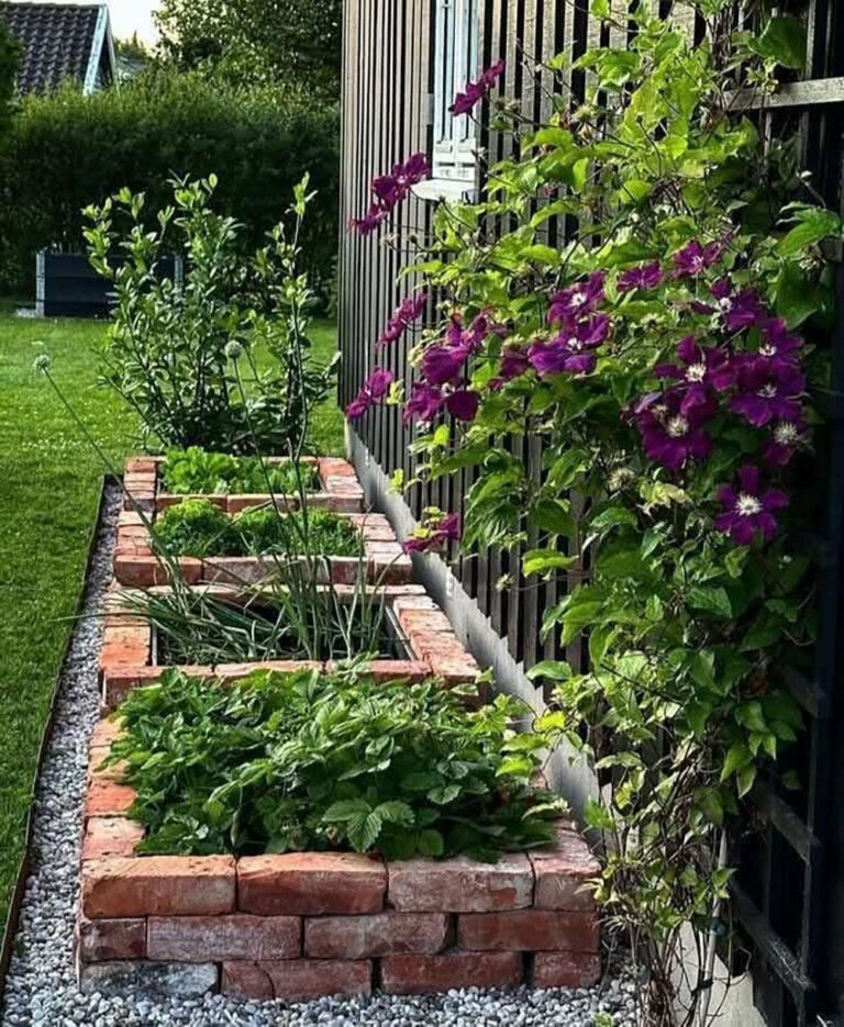 19 Brick Garden Edging Ideas That Instantly Make Gardens Look Polished