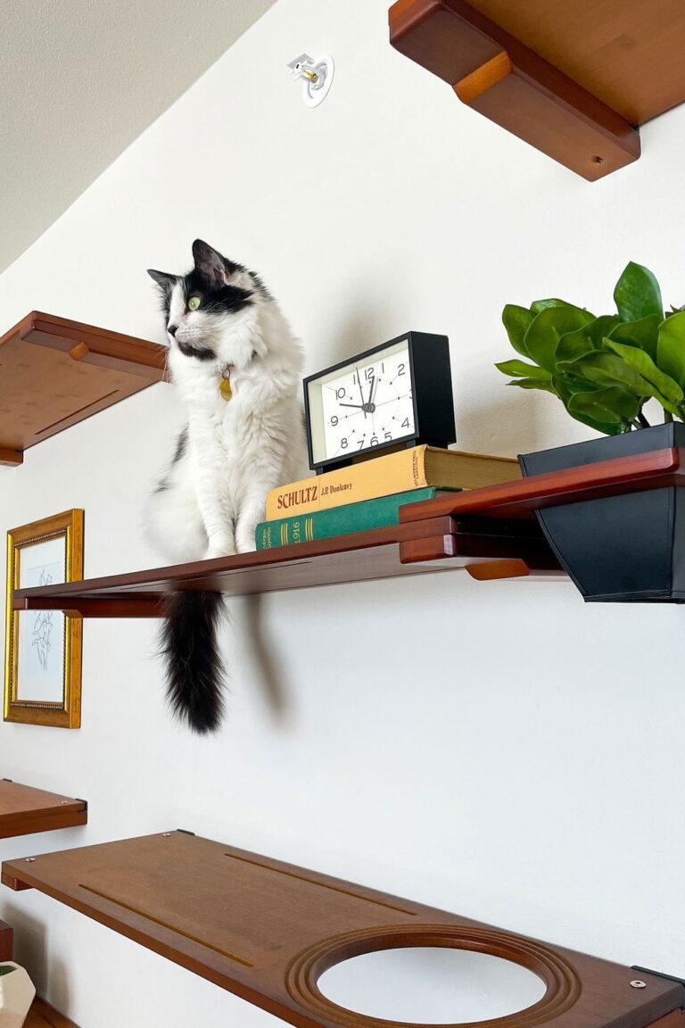19 DIY Cat Shelves Ideas – Elevate Your Feline’s Comfort and Your Home Decor