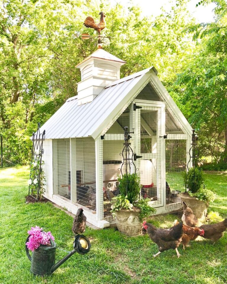 23 Chicken Coop Designs DIY Cheap Ideas for Every Backyard