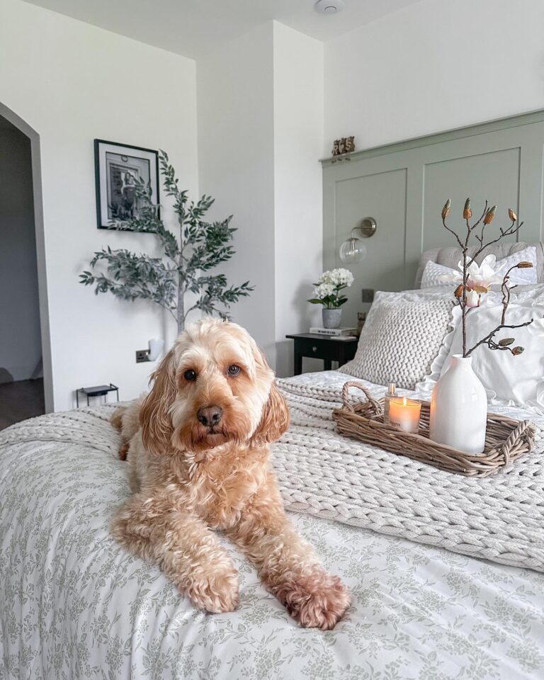 How to Declutter Your Bedroom in 7 Simple Steps